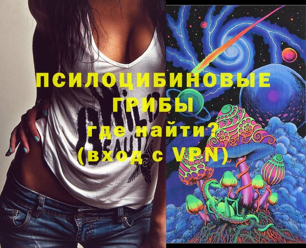 прущая мука Краснослободск