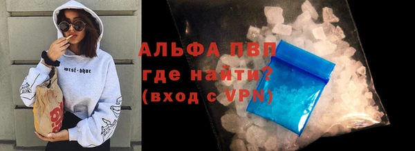 дживик Корсаков