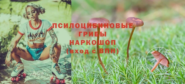 дживик Корсаков