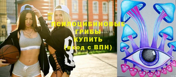 мескалин Галич