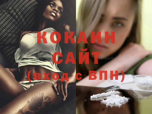 бошки Коряжма