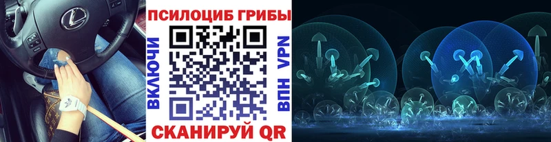 shop формула  Куса  Галлюциногенные грибы Psilocybine cubensis 