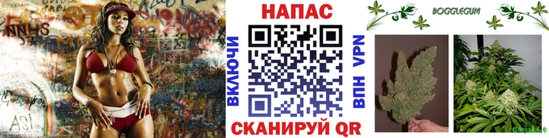 Бошки Шишки SATIVA & INDICA  даркнет сайт  Куса 